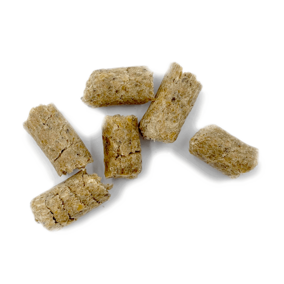 pellets olfateo salmon hipoalergenicos perro masticación masticables snack naturales