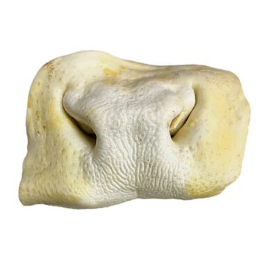 puffed morro vaca perro masticación masticables snack naturales