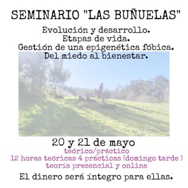 Seminario Las Buñuelas