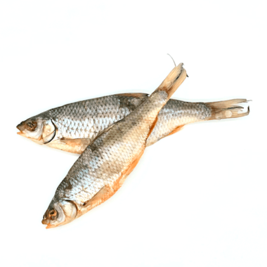 cucharracha gardon pescado hipoalergenicos perro masticación masticables snack naturales
